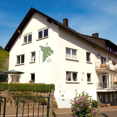 Weingut-Brennerei-Gaestehaus Emil Dauns Reil Luaran gambar