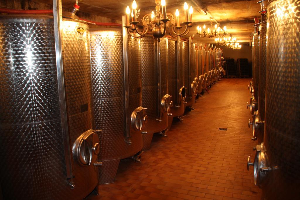 Weingut-Brennerei-Gaestehaus Emil Dauns Reil Luaran gambar