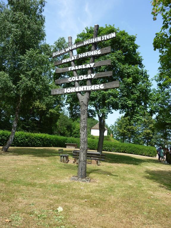 Weingut-Brennerei-Gaestehaus Emil Dauns Reil Luaran gambar