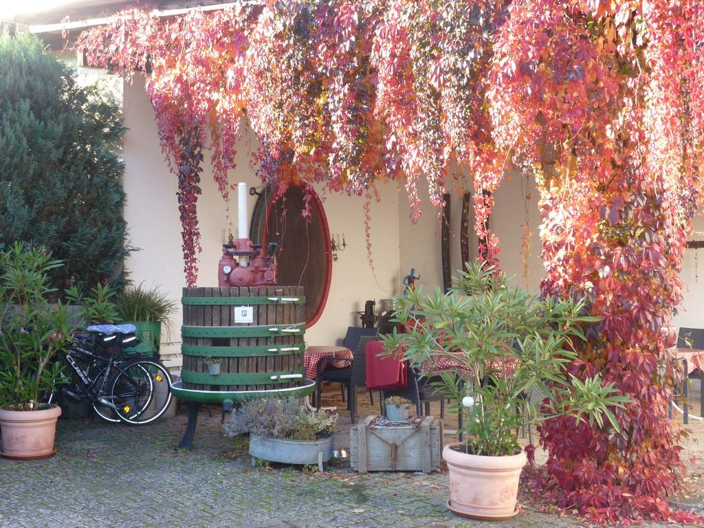 Weingut-Brennerei-Gaestehaus Emil Dauns Reil Luaran gambar